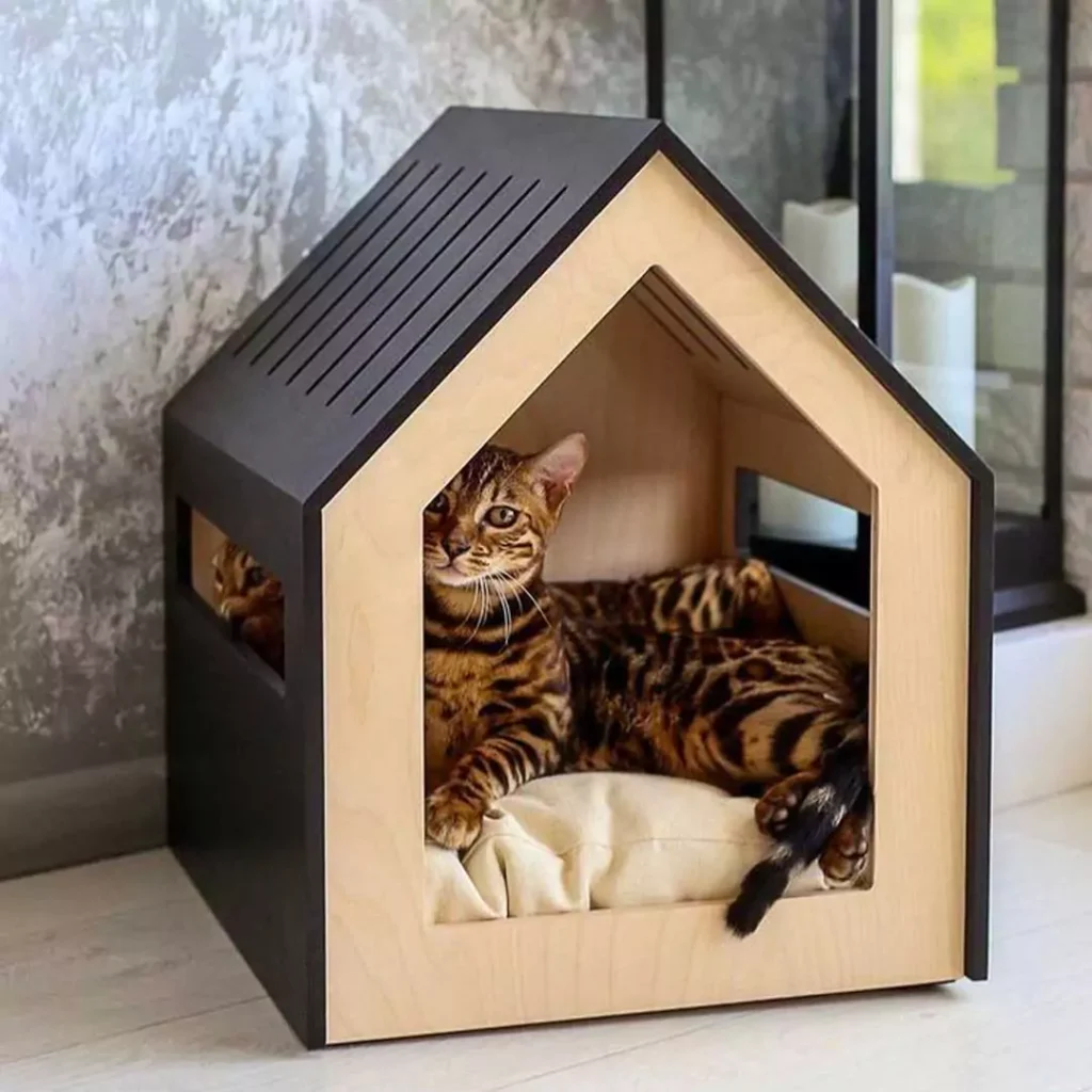 مدل خانه مینیمال حیوانات خانگی آپارتمانی شیک
