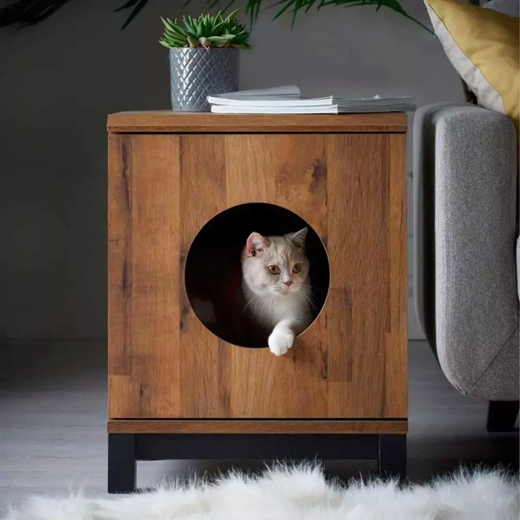 زیباترین مدل خانه مینیمال حیوانات خانگی آپارتمانی