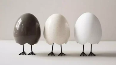 زیباترین تزیین تخم مرغ هفت سین 1403