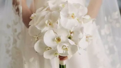 قشنگ ترین دسته گل ارکیده عروس 2024
